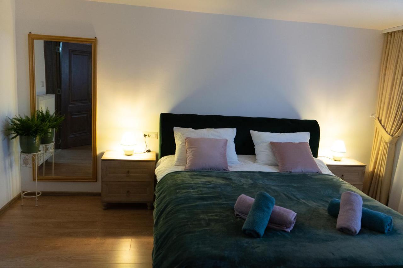 Ultra Central Apartment, Free Parking Oradea - Stray Cats Dış mekan fotoğraf